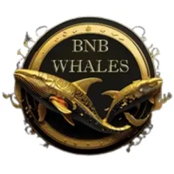 Photo du logo BNB Whales